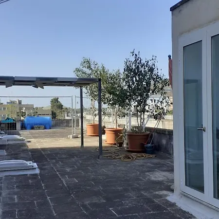 Cuore Del Palio *